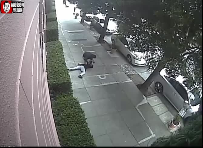 Video :While walking in a park, a woman is brutally attacked